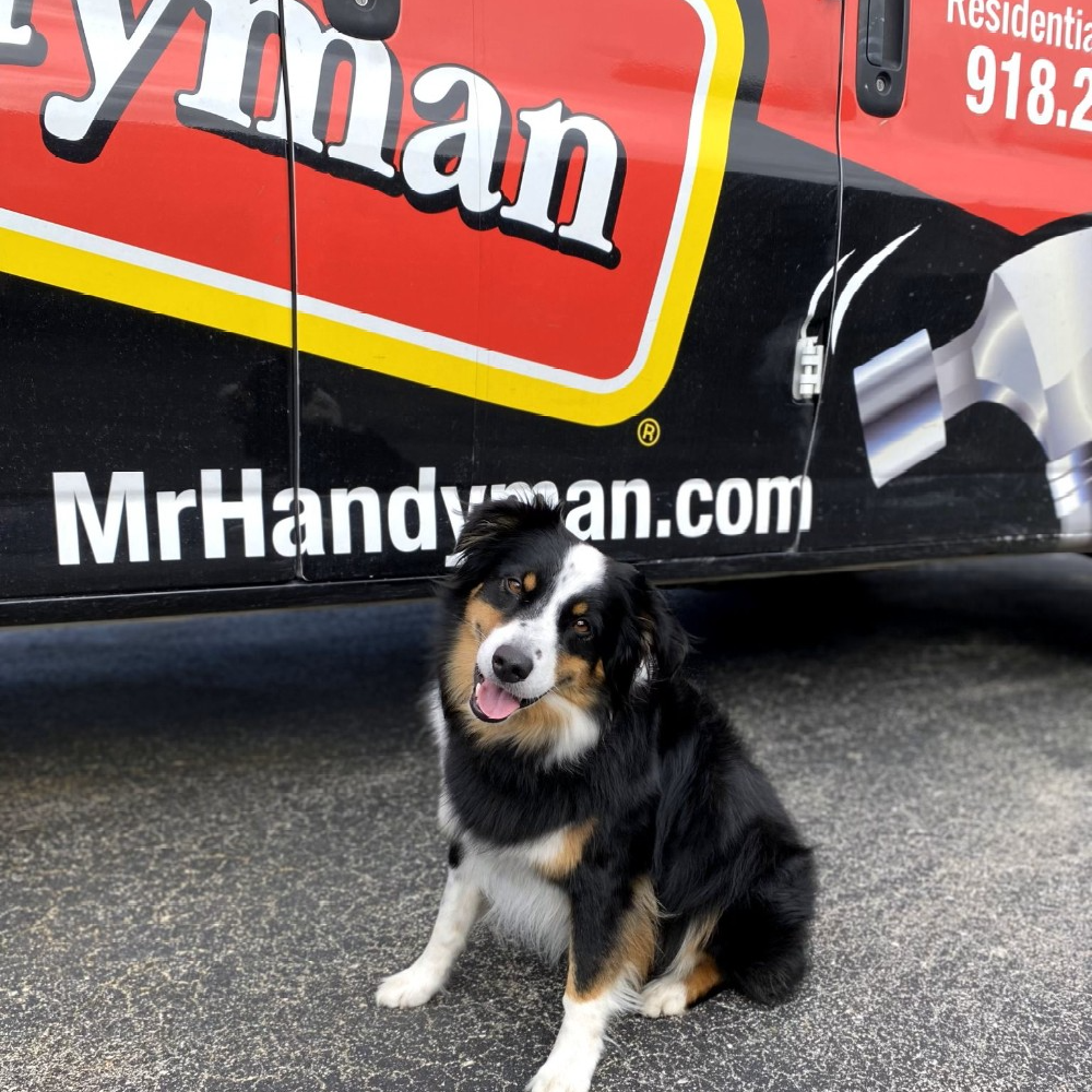 Mr.-Handyman-of-Greater-Tulsa-Sammie-the-HandyDog-1597