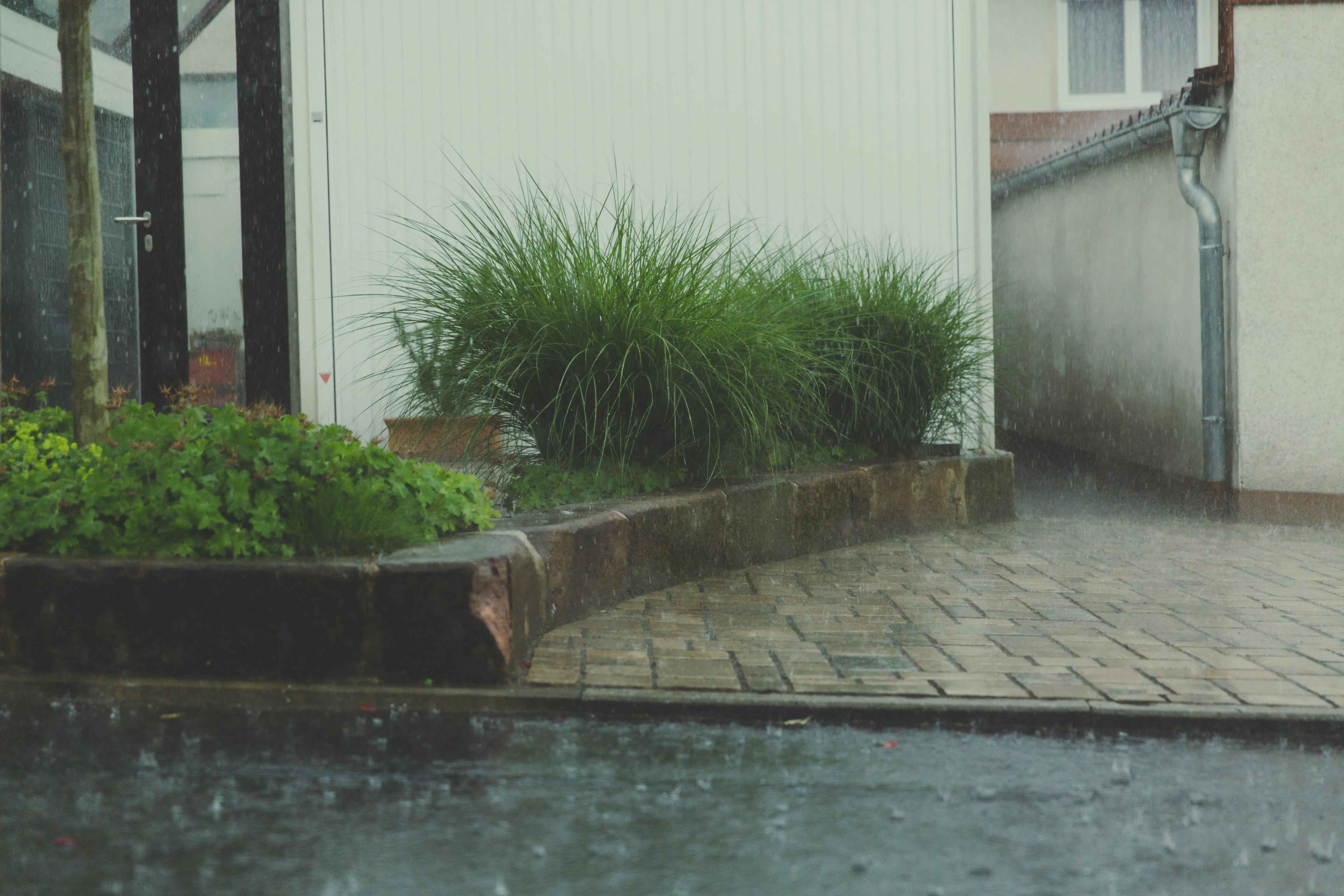 A walkway along a road that is wet from rain with plants and an alley.