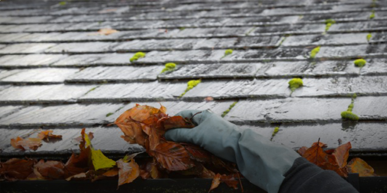 Gutter Cleaning Made Easy