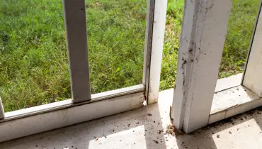 A close look at the bottom of a white, wooden window frame that requires wood rot repairs.